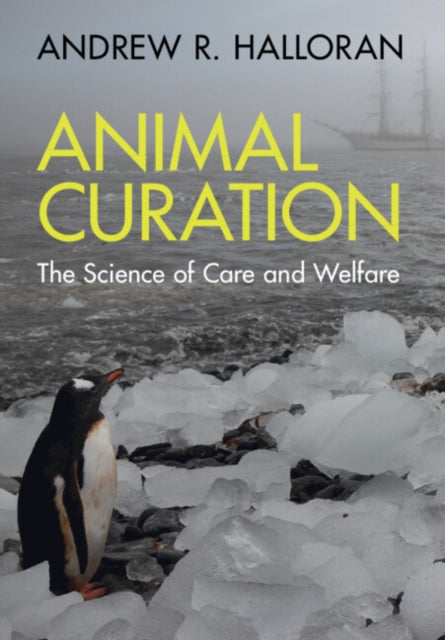 Book cover of: Animal Curation