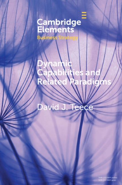 Book cover of: Dynamic Capabilities and Related Paradigms