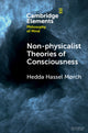 Book cover of: Non-physicalist Theories of Consciousness. By: Hedda Hassel Mørch