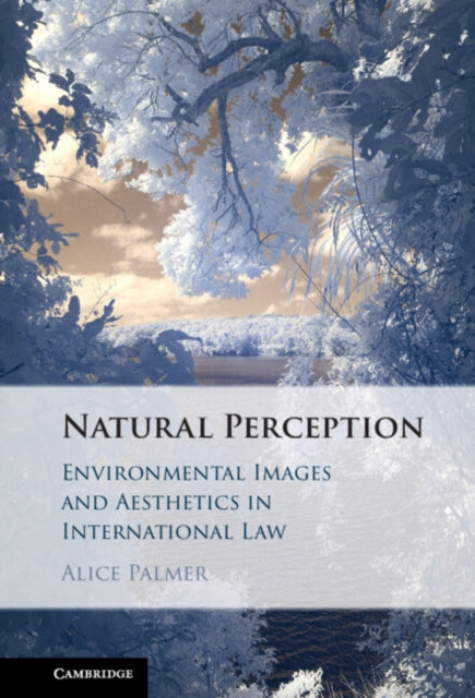 Book cover of: Natural Perception. By: Alice Palmer