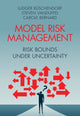 Book cover of: Model Risk Management. By: Ludger Rüschendorf