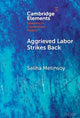 Book cover of: Aggrieved Labor Strikes Back. By: Saliha Metinsoy