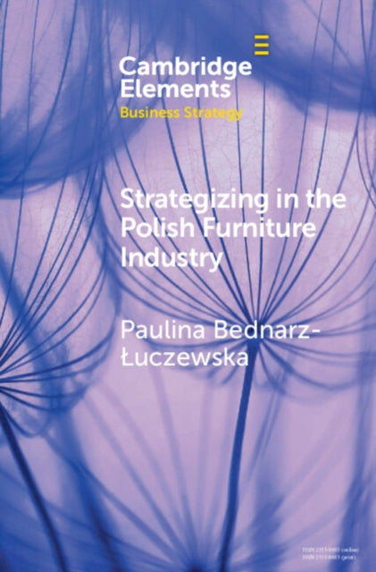 Book cover of: Strategizing in the Polish Furniture Industry