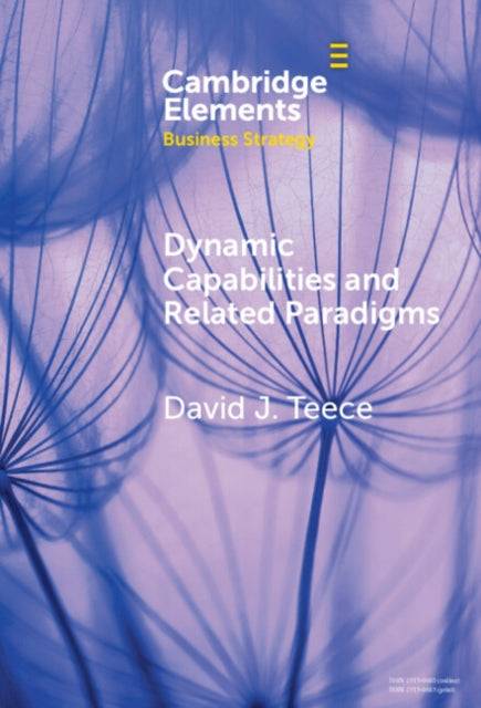 Book cover of: Dynamic Capabilities and Related Paradigms