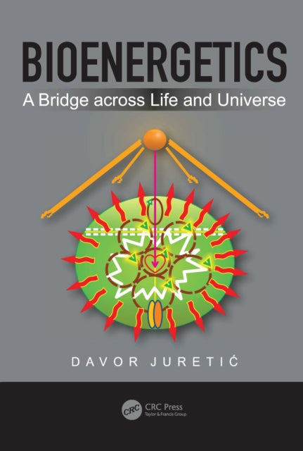 Book cover of: Bioenergetics. By: Davor Juretic