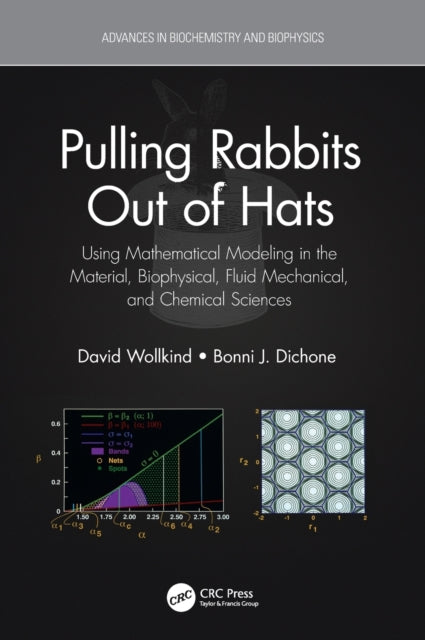 Book cover of: Pulling Rabbits Out of Hats. By: David J. Wollkind