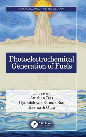 Photoelectrochemical Generation of Fuels