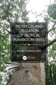 Book cover of: Prospects and Utilization of Tropical Plantation Trees. By: Kang Chiang Liew
