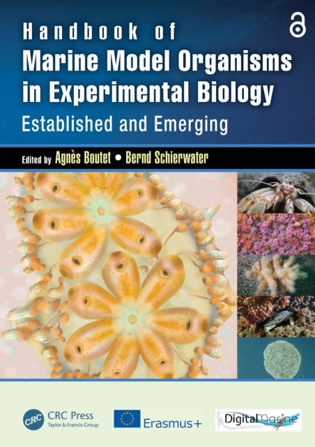 Book cover of: Handbook of Marine Model Organisms in Experimental Biology. By: B. Schierwater