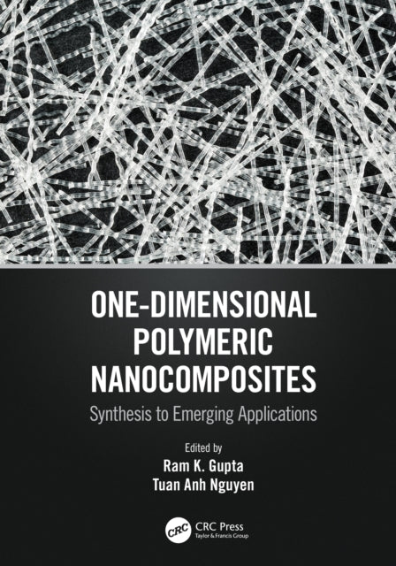 Book cover of: One-Dimensional Polymeric Nanocomposites. By: Ram K. Gupta