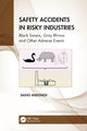 Book cover of: Safety Accidents in Risky Industries. By: Sasho Andonov