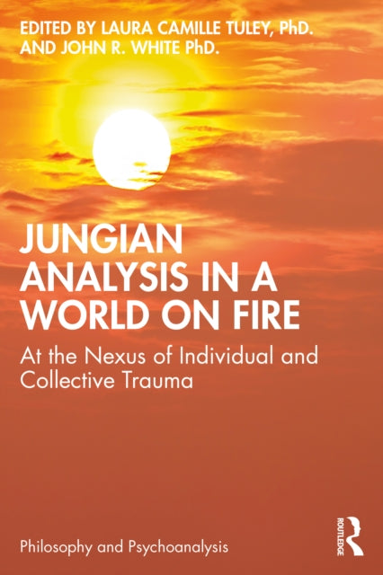 Book cover of: Jungian Analysis in a World on Fire