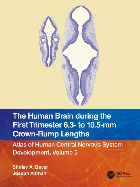 Book cover of: Human Brain during the First Trimester 6.3- to 10.5-mm Crown-Rump Lengths. By: Shirley A. Bayer