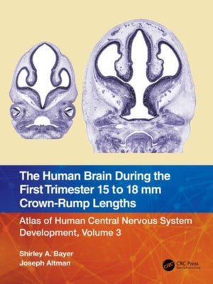 Human Brain during the First Trimester 15- to 18-mm Crown-Rump Lengths