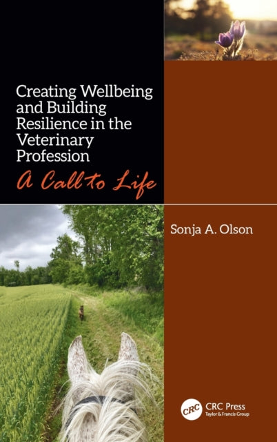 Book cover of: Creating Wellbeing and Building Resilience in the Veterinary Profession. By: Sonja A. Olson