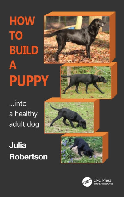 Book cover of: How to Build a Puppy. By: Julia Robertson