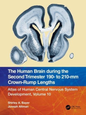 Human Brain during the Second Trimester 190– to 210–mm Crown-Rump Lengths