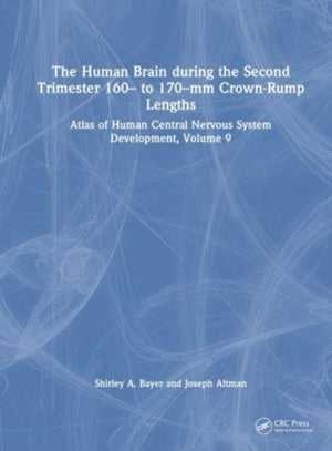 Human Brain during the Second Trimester 160– to 170–mm Crown-Rump Lengths