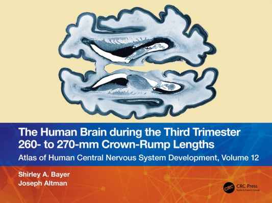 Book cover of: Human Brain during the Third Trimester 260– to 270–mm Crown-Rump Lengths. By: Shirley A. Bayer