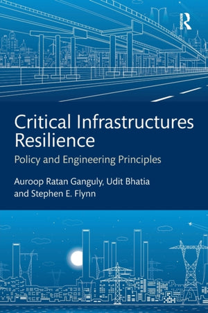 Critical Infrastructures Resilience