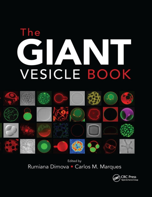 Book cover of: Giant Vesicle Book. By: Rumiana Dimova