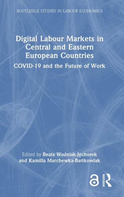 Book cover of: Digital Labour Markets in Central and Eastern European Countries. By: Beata Wozniak-Jechorek