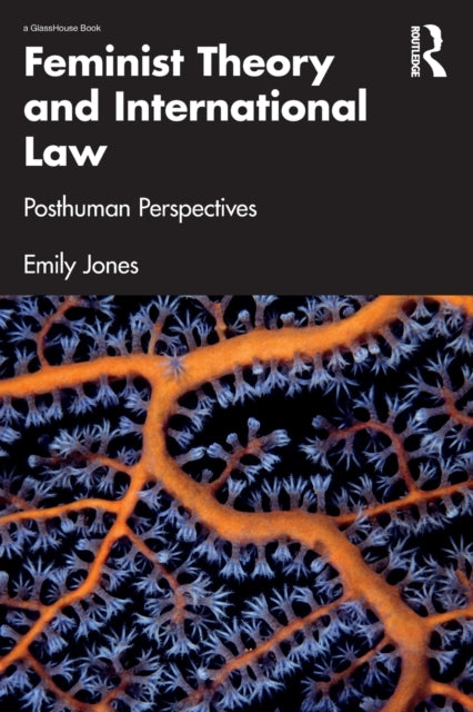 Book cover of: Feminist Theory and International Law. By: Emily Jones