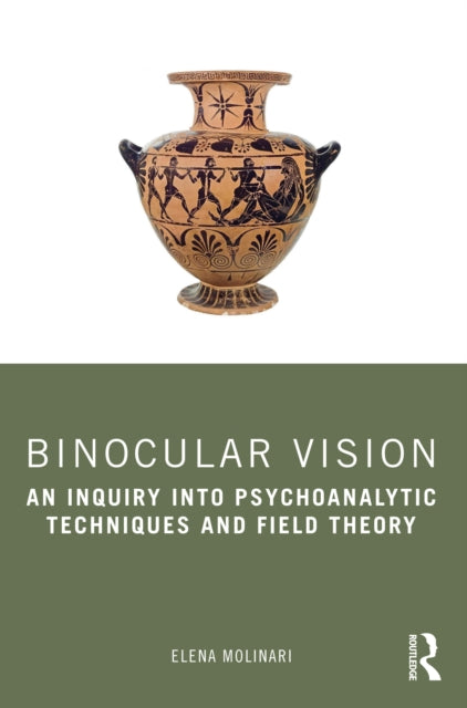 Book cover of: Binocular Vision. By: Elena Molinari