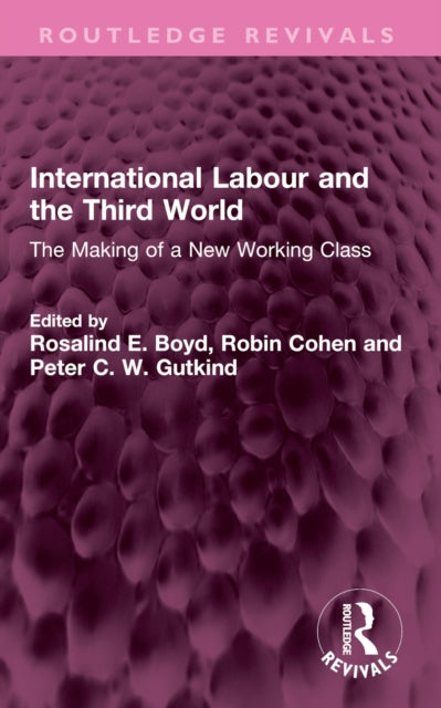 Book cover of: International Labour and the Third World