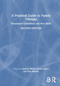 A Practical Guide to Family Therapy