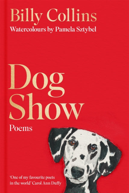 Dog Show 9781035087471 COLLINS, BILLY