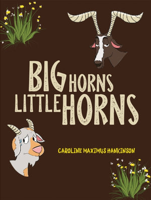 Big Horns Little Horns