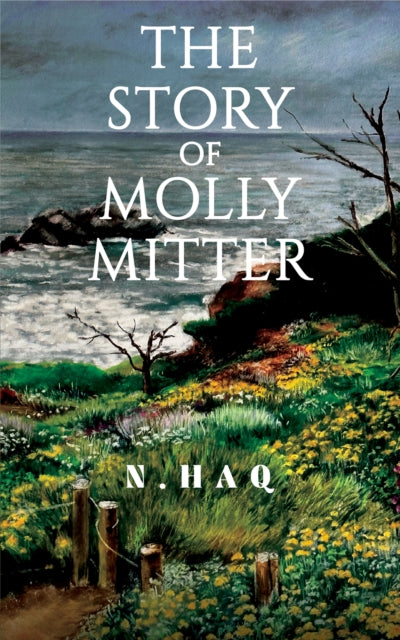 Book cover of: Story of Molly Mitter. By: N. Haq