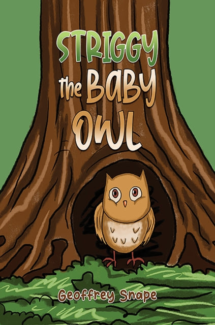 Book cover of: Striggy the Baby Owl