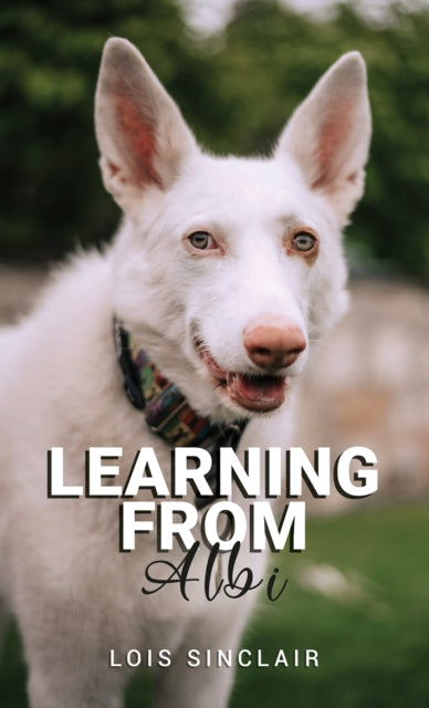 Book cover of: Learning from Albi