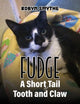 Book cover of: Fudge - A Short Tail of Tooth and Claw
