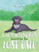Book cover of: Bill’s Adventures: Search for the Lost Ball. By: Sam Cook