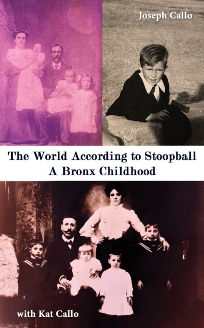 Book cover of: World According to Stoopball