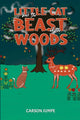 Book cover of: Little Cat and the Beast of the Woods
