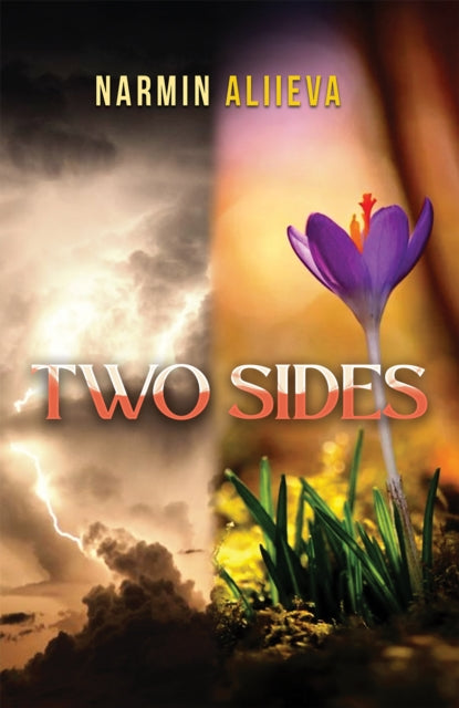 Book cover of: Two Sides