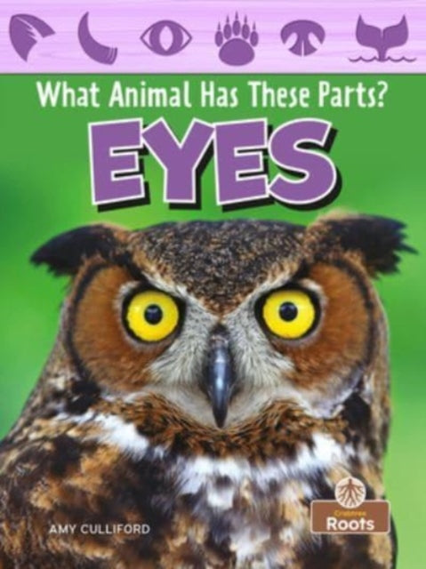 Book cover of: Eyes. By: Amy Culliford