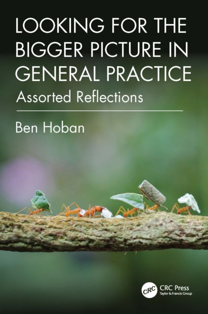 Book cover of: Looking for the Bigger Picture in General Practice
