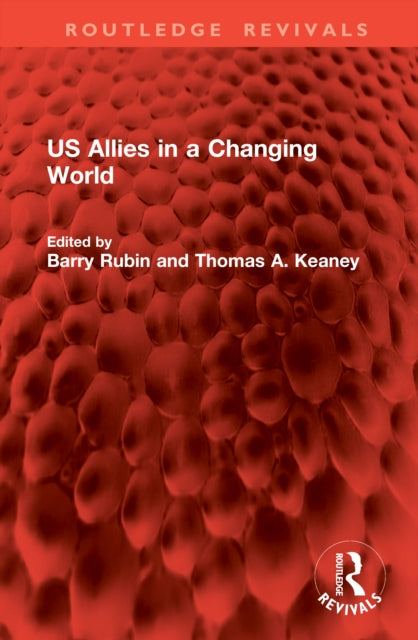 Book cover of: US Allies in a Changing World