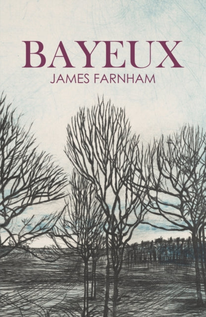 Book cover of: Bayeux