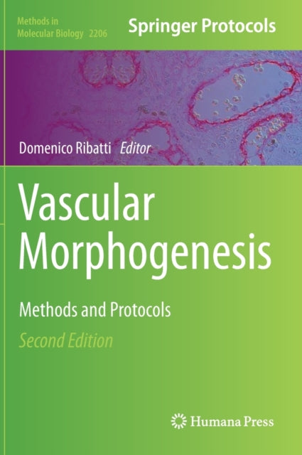 Book cover of: Vascular Morphogenesis. By: Domenico Ribatti
