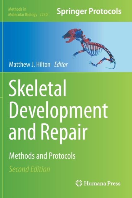 Book cover of: Skeletal Development and Repair. By: Matthew Hilton