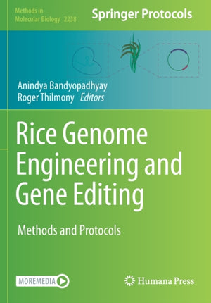 Rice Genome Engineering and Gene Editing
