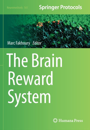 Brain Reward System