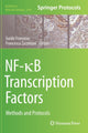 Book cover of: NF-?B Transcription Factors. By: Guido Franzoso