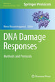 Book cover of: DNA Damage Responses. By: Nima Mosammaparast